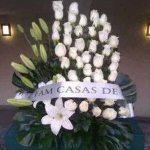 Arreglo de Piso A14