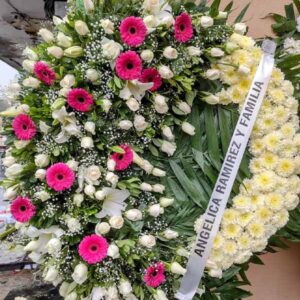 Corona Premium P15