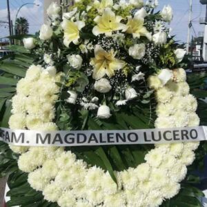 Corona Tradicional T1