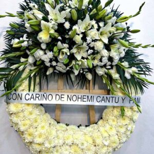 Corona Tradicional T35