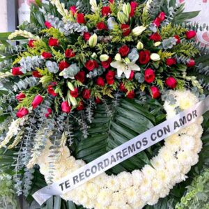Corona Tradicional T41